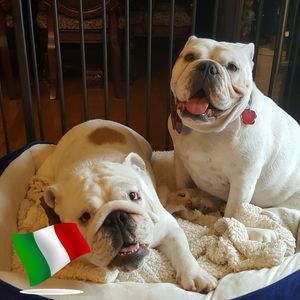 Meet your Posher, Jo-ann